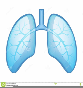 Animated Clipart Lungs | Free Images at  - vector clip art online,  royalty free & public domain