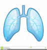 Animated Clipart Lungs Image