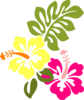 Multi Hibiscus Clip Art