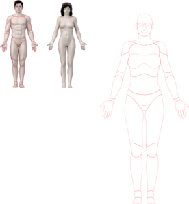 Human Body Clip Art At Clker Com Vector Clip Art Online Royalty Free Public Domain