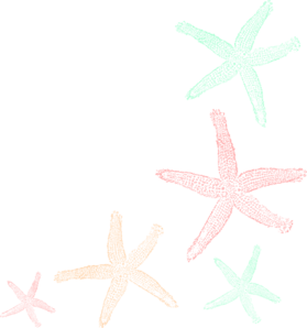 Starfishweddingprogram Clip Art