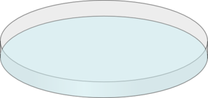 Light Blue Petri Dish Open Clip Art