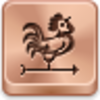 Weathercock Icon Image