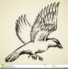 Crow Clipart Image