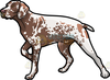 Free German Shorthaired Pointer Clipart Image