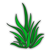 Clipart Pictures Of Plants Image