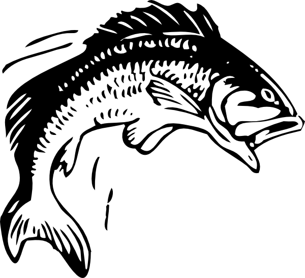 fish silhouette clip art free - photo #42