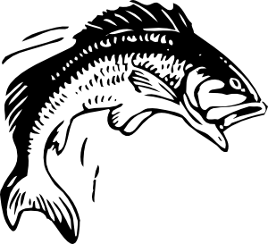 Bass Fish Clip Art