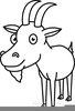 Goat Head Clipart Image