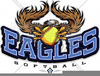 Eagle And Softball Clipart Image