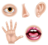 Clipart Hands Ears Image