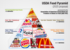 Processed Food Pyramid Image