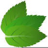 Free Clipart Leaf Outline Image