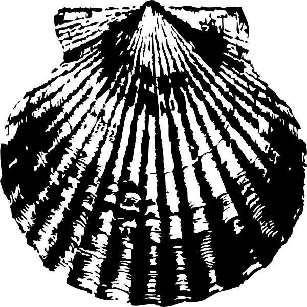 Scallop Shell Clip Art At Clker Com Vector Clip Art Online Royalty Free Public Domain