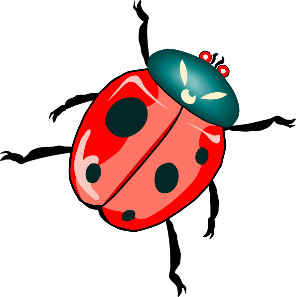 Ladybug PNG, Clipart, Beetle, Cartoon, Insect, Ladybug, Pest Free PNG  Download