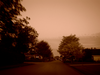 Neighbourhood Street In Southeast Richmond Sepia Image