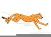 Animated Clipart Cheetah Image