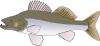 Big Fish Candat Animal Clip Art