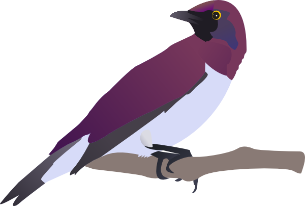 clipart images of birds - photo #37