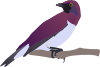 Exotical Bird Clip Art