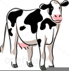 Jersey Cow Clipart Image