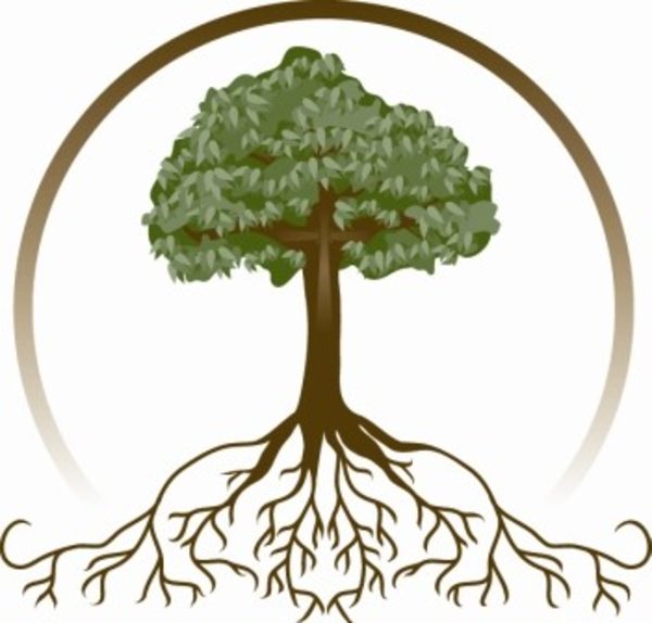 tree clipart with roots - photo #9