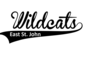 Wildcats Image