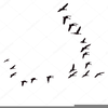 Skein Of Geese Clipart Image