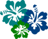 Hibiscus Teal & Green Clip Art