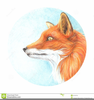 Fox Head Clipart Image