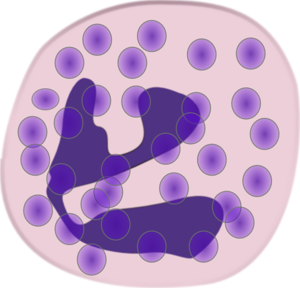 clipart blood cells - photo #42