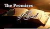 Gods Promise Image