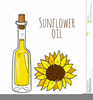 Sunflower Oil Clipart Image