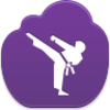 Karate Icon Image