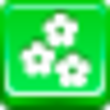Free Green Button Flowers Image