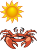 Crabsun Image