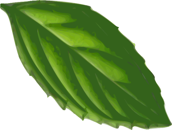 free mint leaves clipart - photo #3
