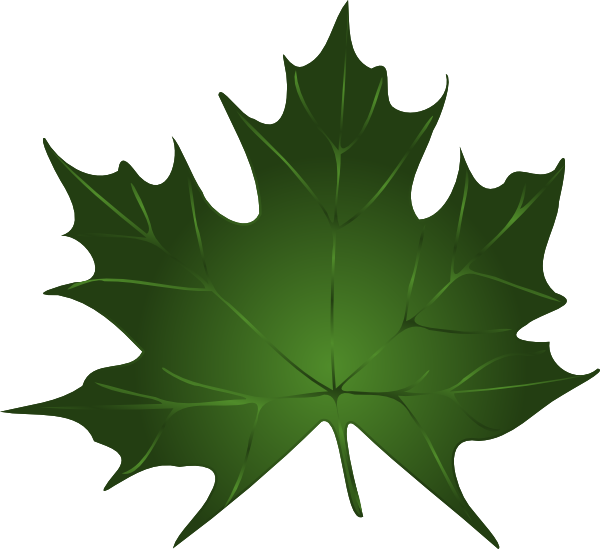 Green Maple Leaf Clip Art at vector clip art