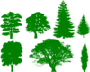 Green Trees Clip Art