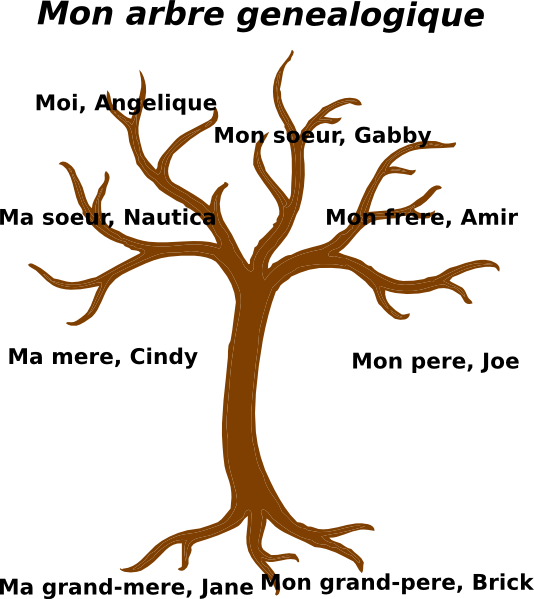 Family Tree Clip Art at Clker.com - vector clip art online, royalty