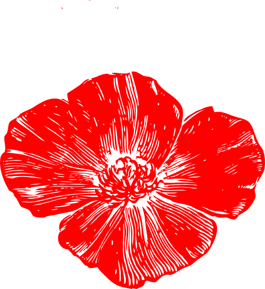 clip art poppy flower - photo #14