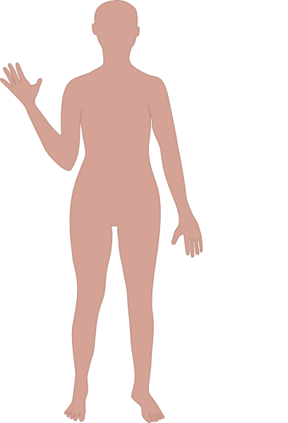 clipart of a human body - photo #32