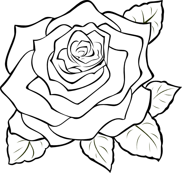 Uncoloured Rose Clip Art at Clker.com - vector clip art online, royalty