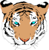 Bengal Tiger Clip Art