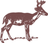 Deer Clip Art