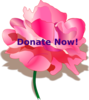 Donate Button Clip Art