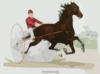 Trotting Stallion Stamboul, By Sultan: Record 2:12 1/4 Clip Art