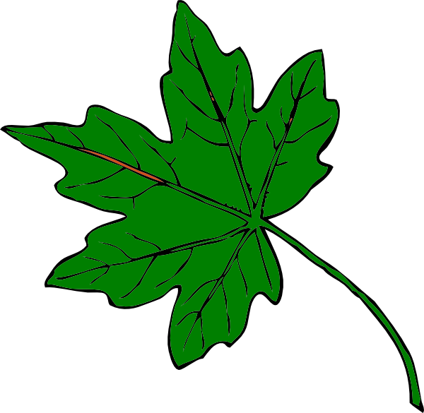 clipart green leaf - photo #17