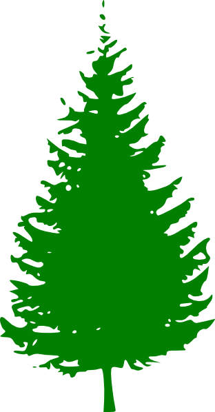 pine tree clip art vector - photo #4