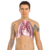 Human Body Anatomy Basics Clip Art